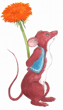 Johannes Geburtstagskarte